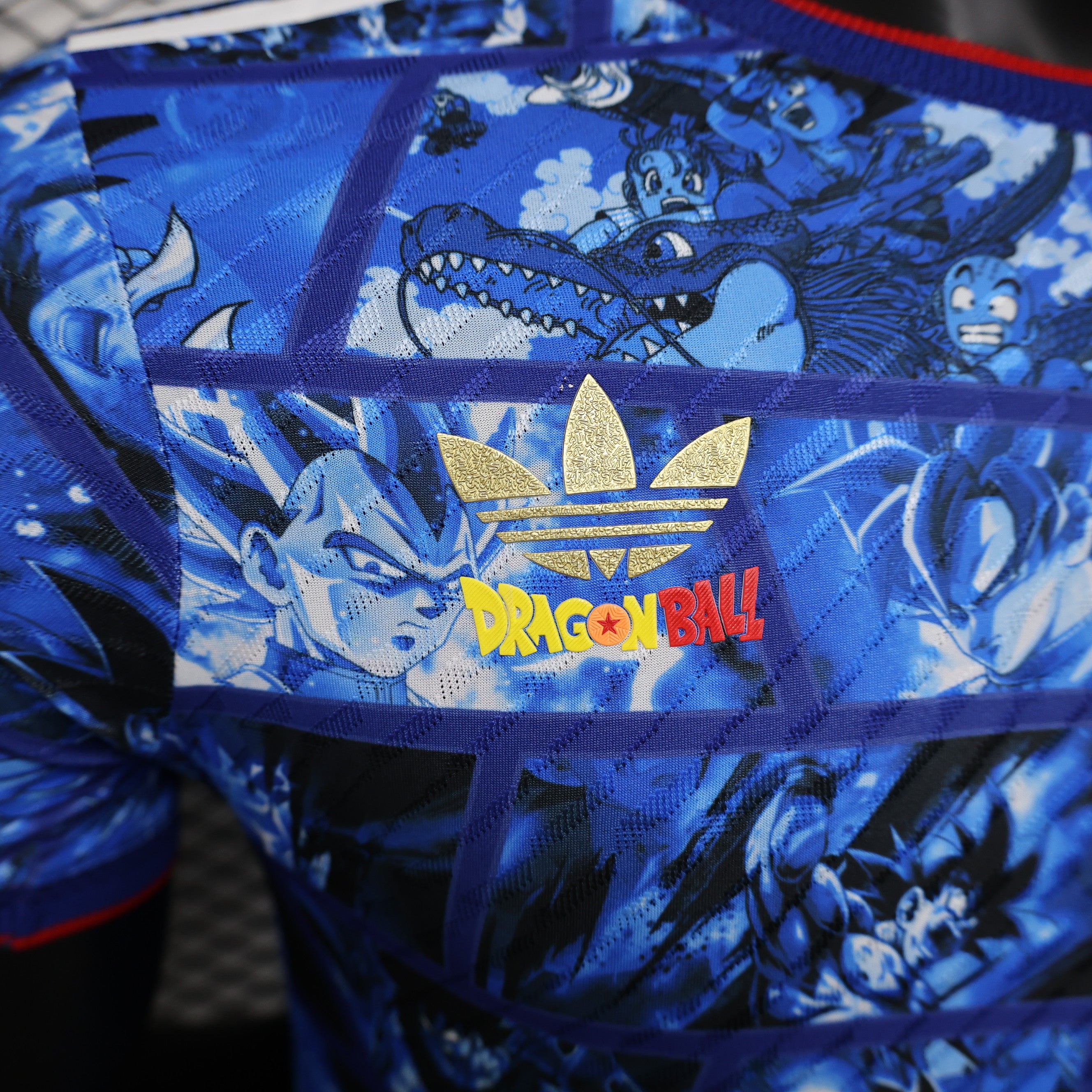 Japan 2024/25 Commemorative Edition Jersey