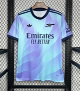 Arsenal fc 24/25