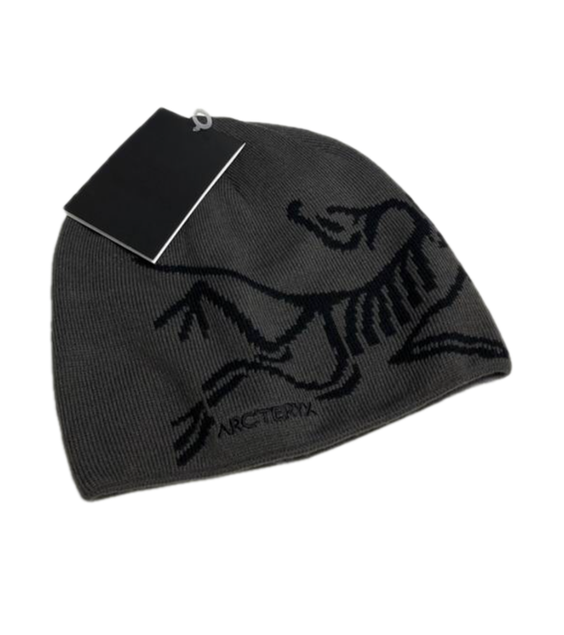 Arcteryx beanie