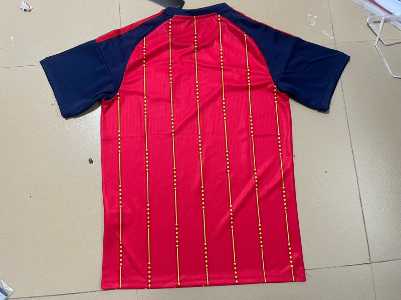 Spanien WM 25/26 Trikot