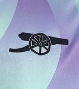 Arsenal fc 24/25