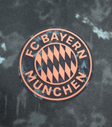 FC Bayern 24/25