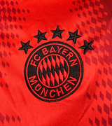FC Bayern 24/25