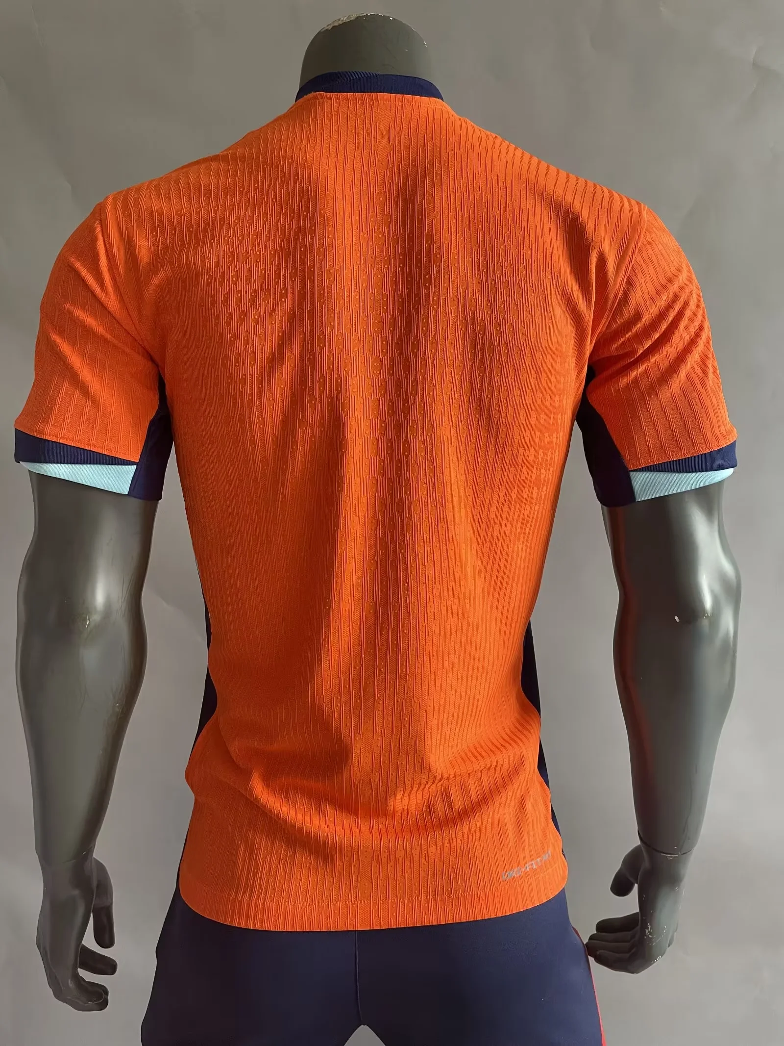 Niederlande Trikot 2024