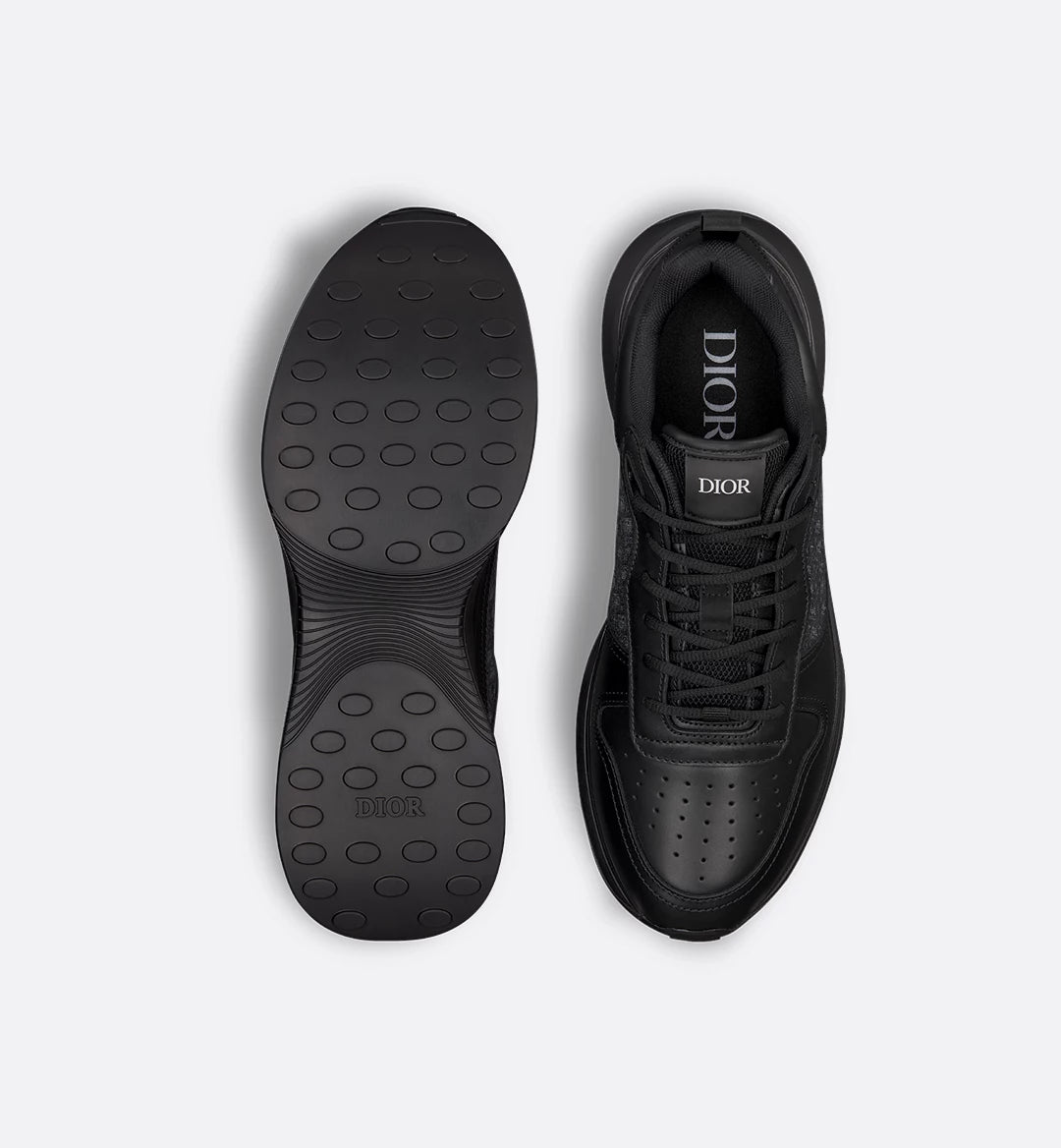 Dior B25