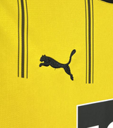 Borussia Dortmund 24/25