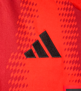 FC Bayern 24/25