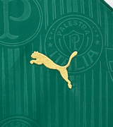 Palmeiras 24/25