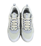Dior B22