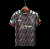 Besiktas Istanbul