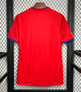 Spanien 2010 Retro Trikot Heim