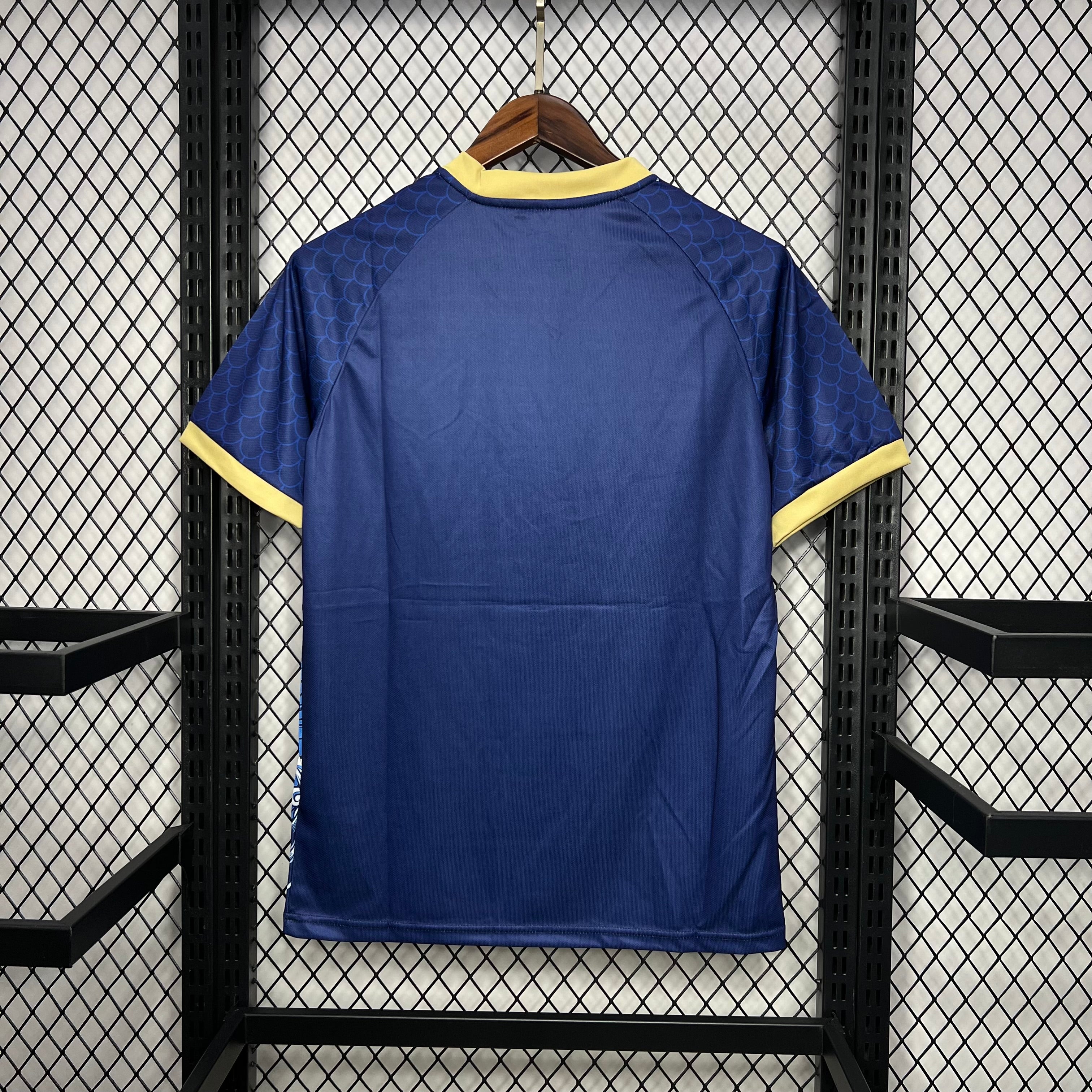 Japan 2024/25 Dragon Edition Jersey 6