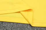 Borussia Dortmund Trainingsanzug 24/25