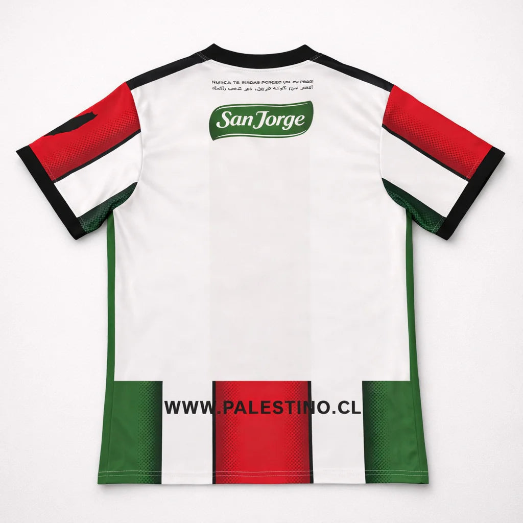 Palestine Jersey (M)